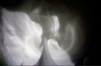 打发至打蛋器提起，蛋白不易落下，有小弯尖的状态即可，注意观察状态不要打过