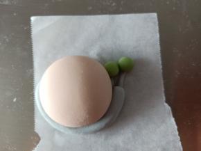 27. 粘到小蜗触角上
