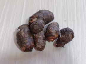 朋友送来的芋头，特别新鲜！