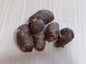 朋友送来的芋头，特别新鲜！