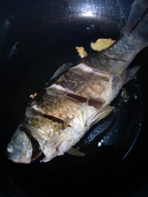 准备一条鲫鱼，清洗干净（里面黑色的膜一定要清除干净，不然会很腥）改刀。热锅放油，油热后放姜煸炒片刻放入鲫鱼煎至两面焦黄。