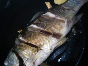 准备一条鲫鱼，清洗干净（里面黑色的膜一定要清除干净，不然会很腥）改刀。热锅放油，油热后放姜煸炒片刻放入鲫鱼煎至两面焦黄。