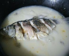 30分钟左右。已经炖好的鲫鱼汤，奶白色很正