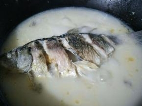 30分钟左右。已经炖好的鲫鱼汤，奶白色很正