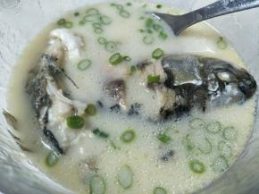 本菜谱针对月子里的产妇，故只有鲫鱼，出锅放盐。其他作料都没放，只要肚子里面的黑膜洗干净了，炖出来的汤一点都不腥，还特别嫩。好喝！