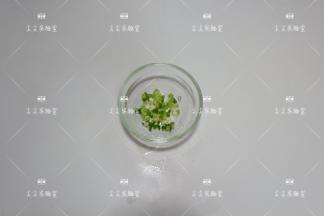 葱切葱花