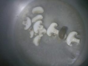 把香菇淖水，烫熟