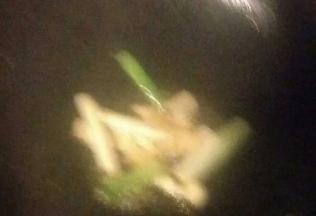 锅中倒油，油温7成热放入葱蒜炒香后捞出，只留油的部分(抱歉图片拍的实在太朦胧)