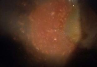 继续翻炒至只西红柿软烂，汤汁浓稠即可，就是酱的状态，注意不要炒糊