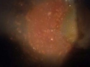 继续翻炒至只西红柿软烂，汤汁浓稠即可，就是酱的状态，注意不要炒糊