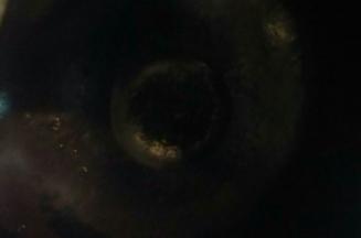 现在开始炒酱:小铁锅中倒入食用油.油温7成热放入花椒粒炒香后将花椒粒捞出，只留油的部分