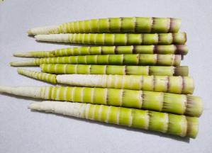 带壳的忘记拍了，这是剥好的斑竹笋。