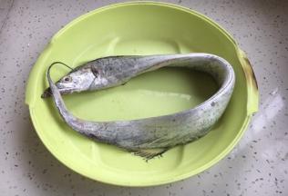 带鱼去鳞、去内脏、去腹黑，清洗干净。