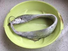 带鱼去鳞、去内脏、去腹黑，清洗干净。