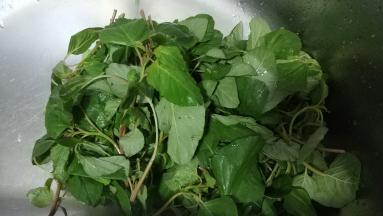 野苋菜洗净沥干水分备用