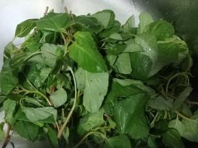 野苋菜洗净沥干水分备用