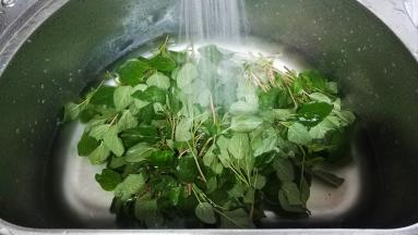 野苋菜洗干净，沥干水分备用