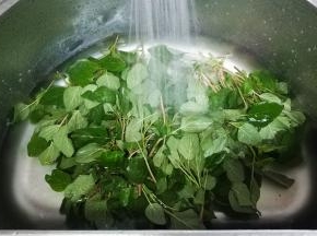 野苋菜洗干净，沥干水分备用