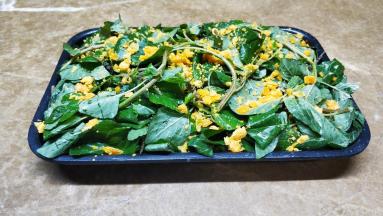 烤盘抹上一层油，放上拌均匀好的野苋菜