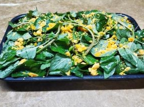 烤盘抹上一层油，放上拌均匀好的野苋菜