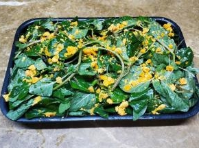 将咸蛋黄捏碎撒上野苋菜表面