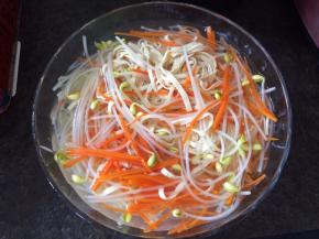 烧开一锅开水，往水里滴几滴油，放入土豆、红萝卜、豆腐皮和黄豆芽汆水约一分钟左右捞起，放入装有食用水或冰水的容器中过冷后捞起备用。