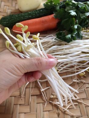 把黄豆芽的根部摘掉，洗净备用。