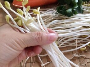 把黄豆芽的根部摘掉，洗净备用。