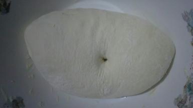 醒发至原来的2倍大，指头戳洞，不回缩即可