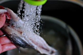 带鱼先清除内脏后，一定要把鱼冲洗干净，特别是五脏里的那一层黑膜，那都是重金属、吃到肚子里是很难排解出来的呀。