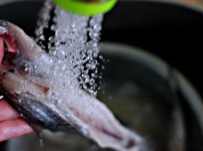 带鱼先清除内脏后，一定要把鱼冲洗干净，特别是五脏里的那一层黑膜，那都是重金属、吃到肚子里是很难排解出来的呀。