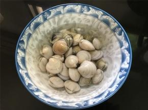 先把买回来的文蛤静养一下，让其吐尽泥沙。