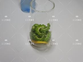苦瓜和柠檬放入杯中