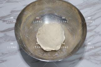 揉成无干粉的面团即可，盖上保鲜膜发酵至3-4倍大，室温或者冷藏发酵均可。