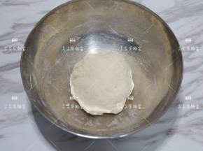 揉成无干粉的面团即可，盖上保鲜膜发酵至3-4倍大，室温或者冷藏发酵均可。