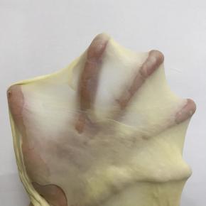 然后加入黄油揉至完全扩展，即手套膜。能拉出有韧性且不易破的半透明膜，破口呈光滑状。