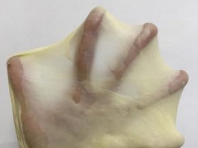 然后加入黄油揉至完全扩展，即手套膜。能拉出有韧性且不易破的半透明膜，破口呈光滑状。