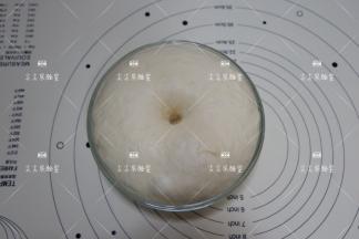 发酵至2.5倍大，手蘸干粉轻戳不塌陷即可