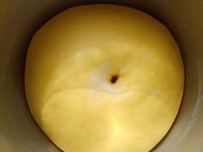 一发完成后用手指粘面粉在面团中间戳个洞，不回缩，不塌陷就发好了 。