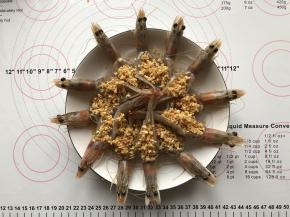 把滤出油的蒜蓉放在开好背的青虾上面