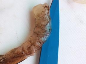 鲜虾去头剥壳，用刀从虾背划开成双飞。