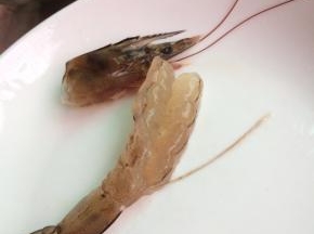 把虾背上的虾肠取出。