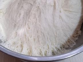 发酵大约至2.5倍大，全部是蜂窝眼。