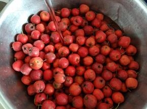 1.先将山楂洗净
