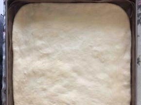 放入28*28的烤盘，用擀面杖擀成大小合适的面片。