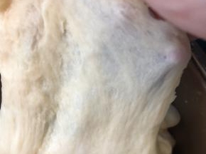 揉好的面团尽量可以揉出手套膜，这样子的面包比较松软。