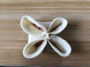 再将四边捏合，如图;