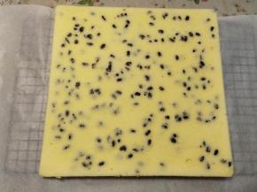 轻轻的撕下硅胶垫，放凉。