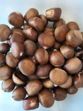 栗子洗净淋干水份