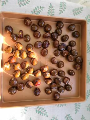 把裹上油的栗子放入烤盘里